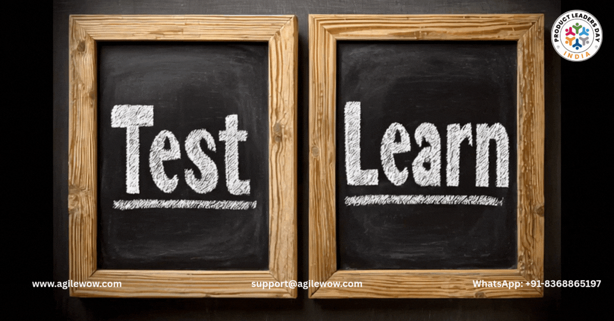 Test Card and Learning Card by Strategyzer
